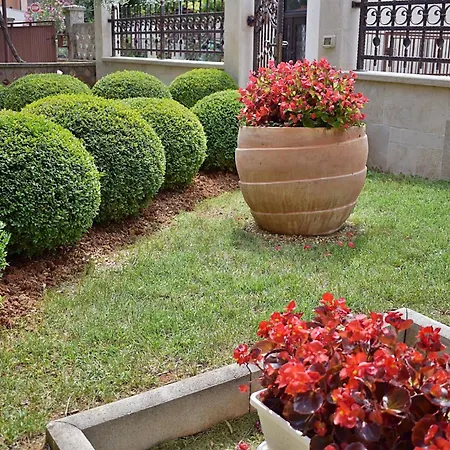 Tina & Denis Apartman Póla